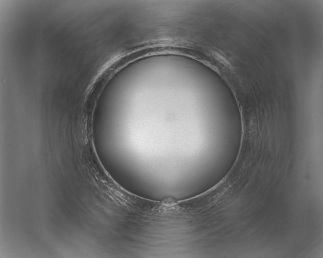 X0000056361310200509091612