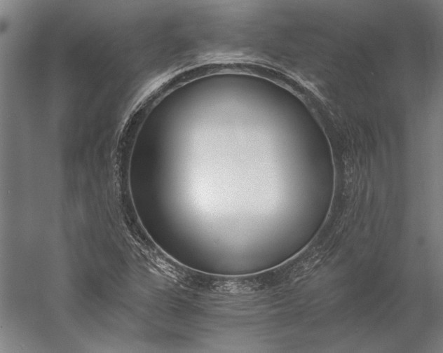 X0000056361311200509091612