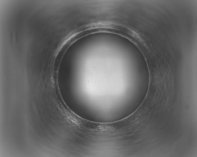 X0000056361312200509091612