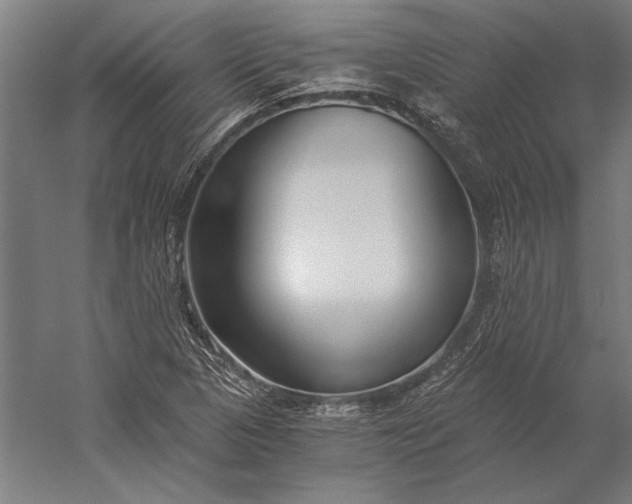 X0000056361313200509091612