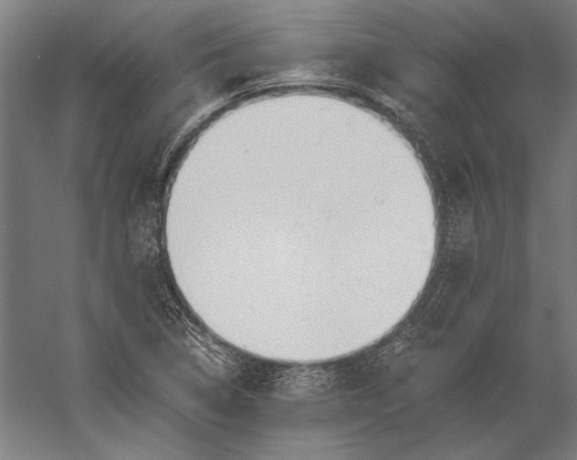 X0000056361314200509091612