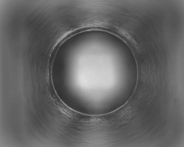 X0000056361316200509091612