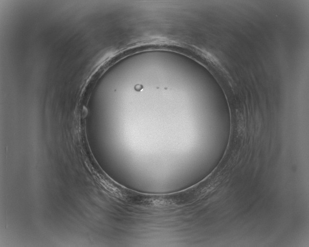 X0000056361318200509091612