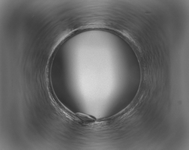 X0000056361325200509091612