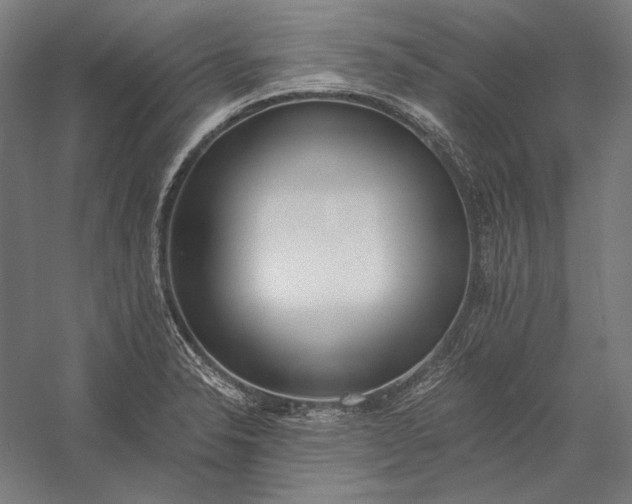 X0000056361326200509091612