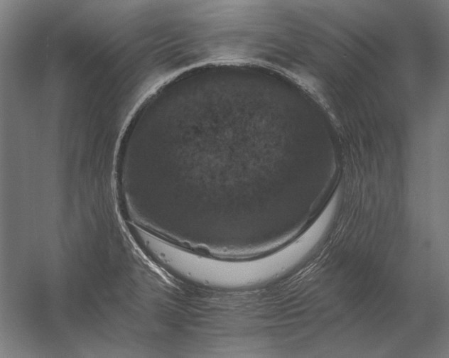 X0000056361327200509091612