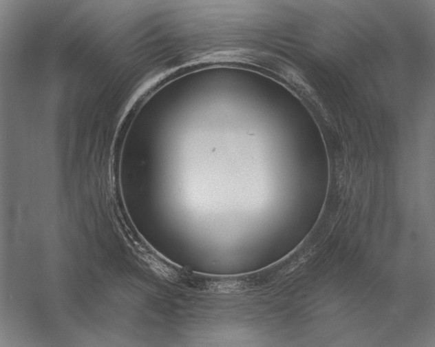 X0000056361328200509091612