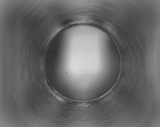 X0000056361329200509091612