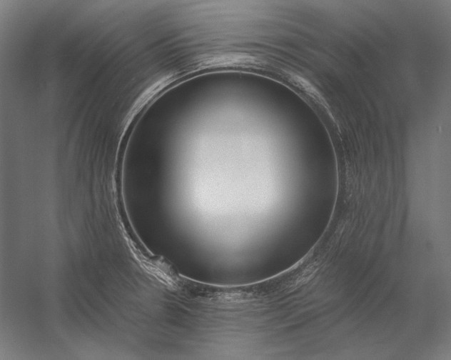 X0000056361330200509091612