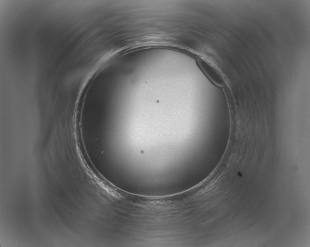 X0000056361333200509091612