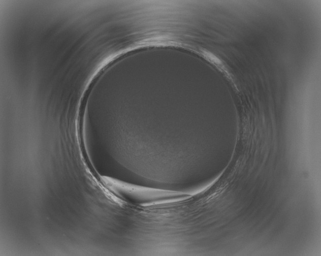 X0000056361334200509091612