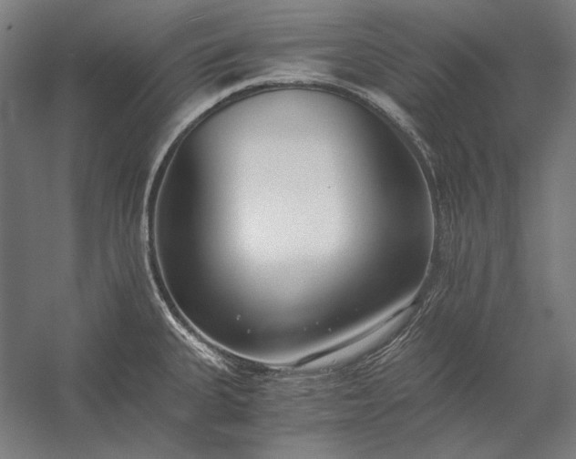 X0000056361335200509091612