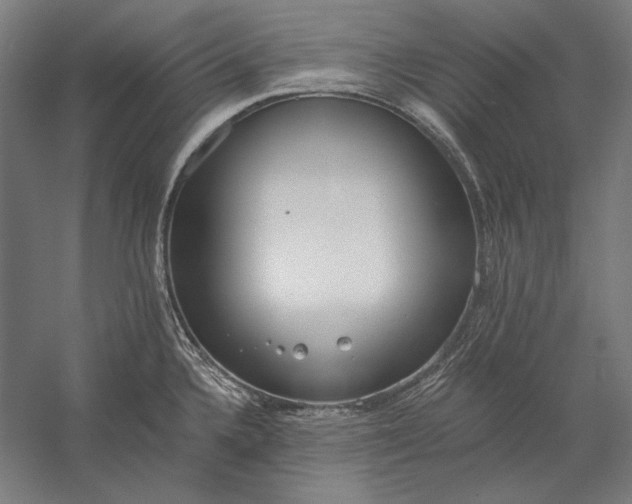 X0000056361336200509091612