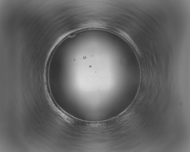 X0000056361339200509091612