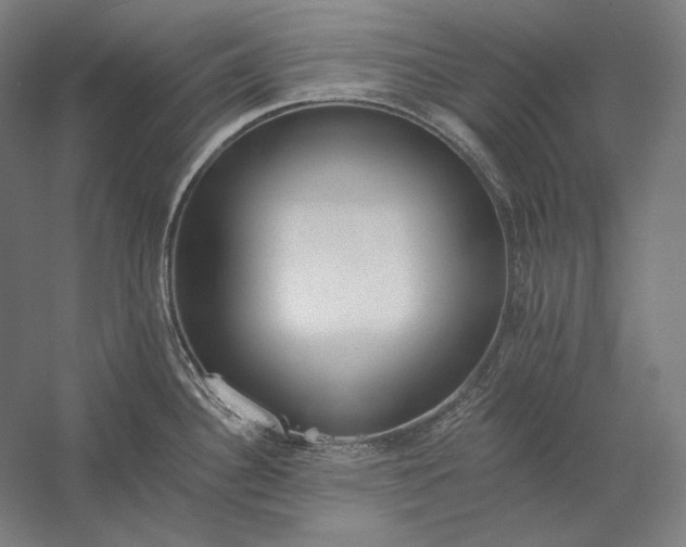 X0000056361340200509091612