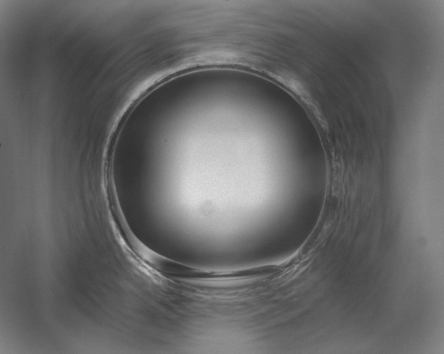 X0000056361342200509091613