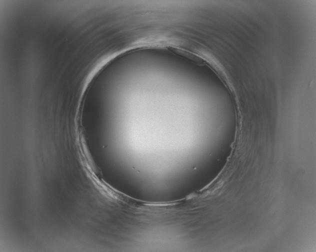 X0000056361344200509091613