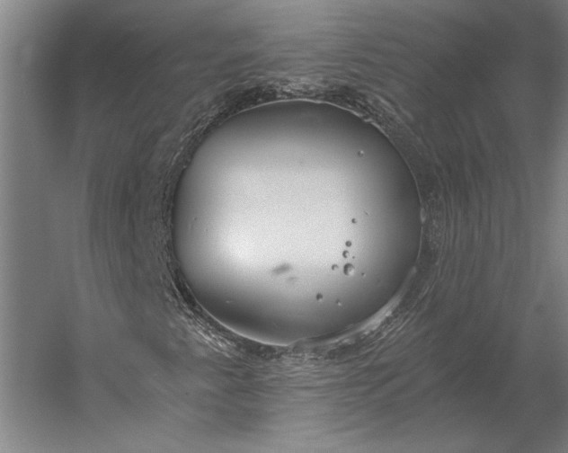 X0000056361345200509091612