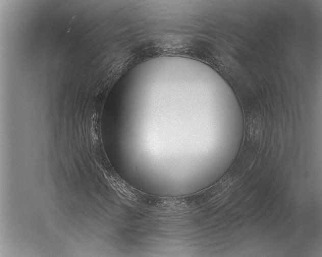 X0000056361346200509091612