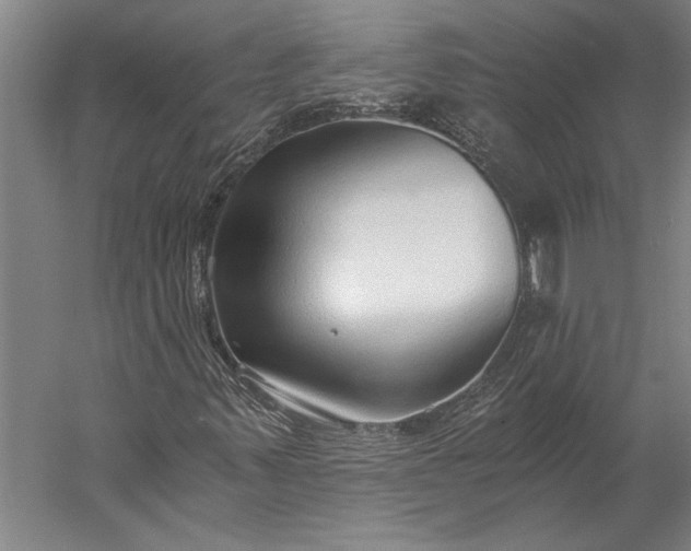 X0000056361347200509091612