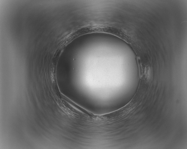 X0000056361348200509091612