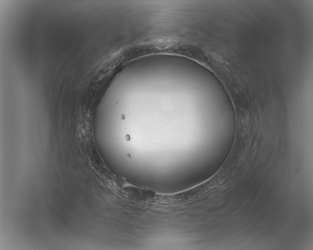 X0000056361349200509091612