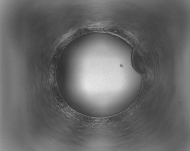 X0000056361350200509091612