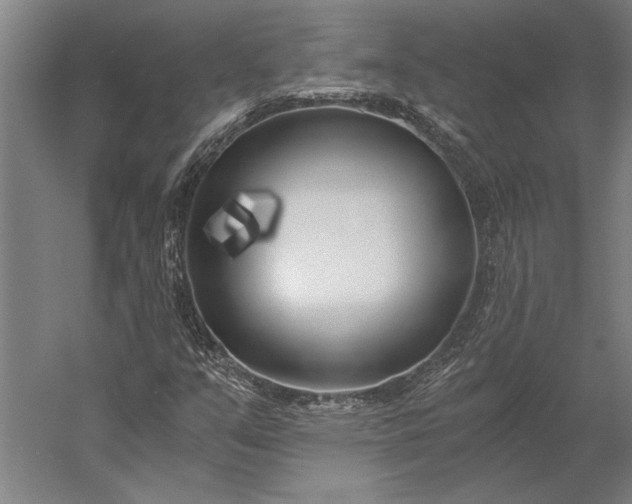 X0000056361351200509091612