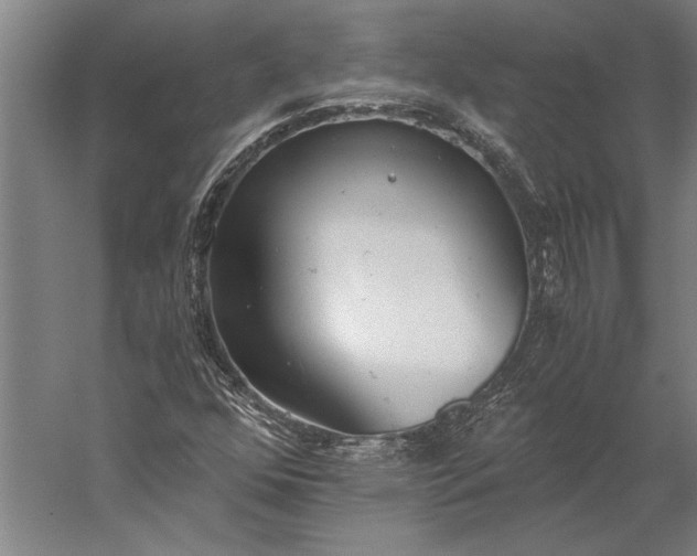 X0000056361352200509091612