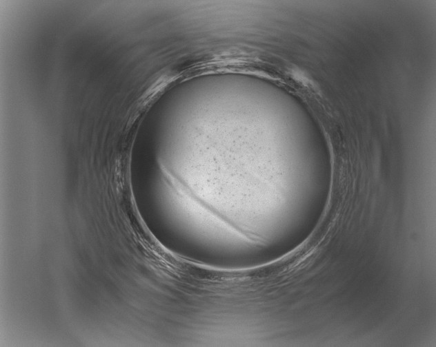 X0000056361353200509091612