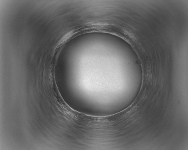 X0000056361354200509091612