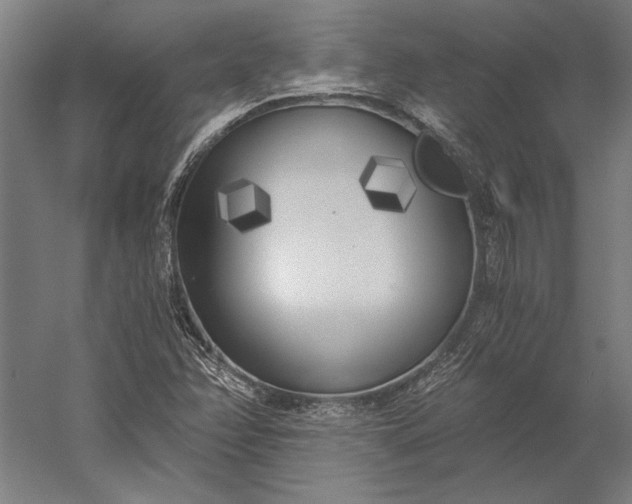 X0000056361358200509091611