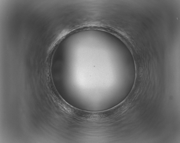 X0000056361359200509091611