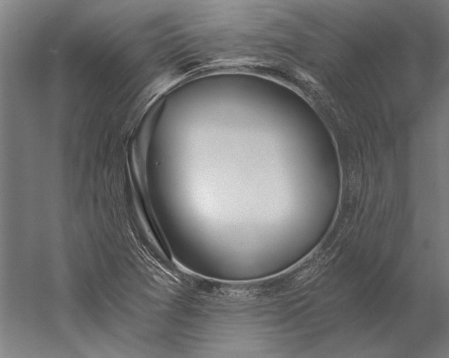 X0000056361361200509091611