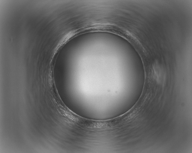 X0000056361362200509091611