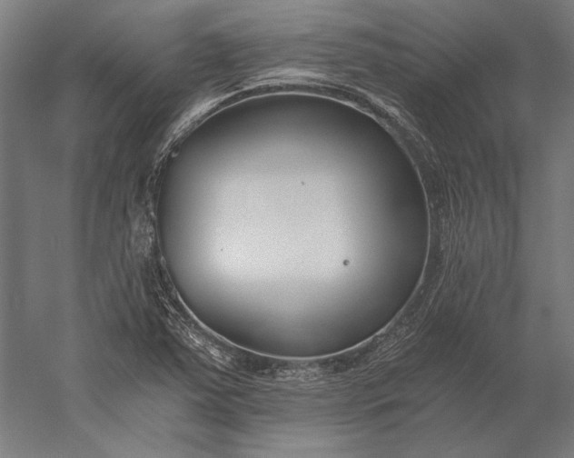 X0000056361363200509091611