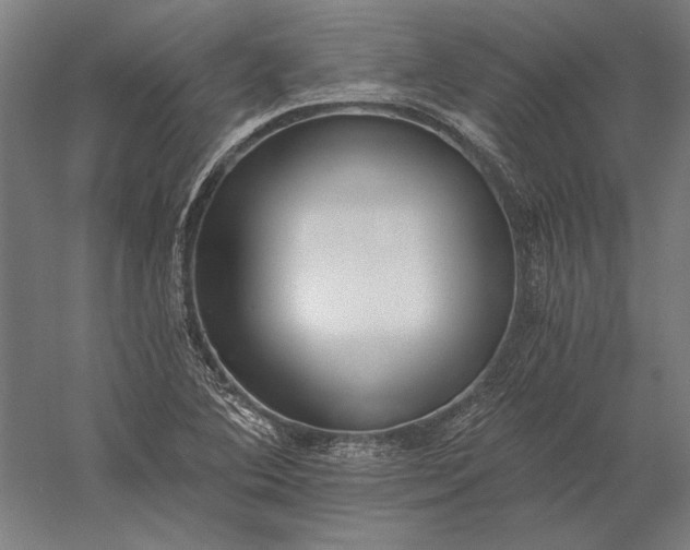 X0000056361364200509091611