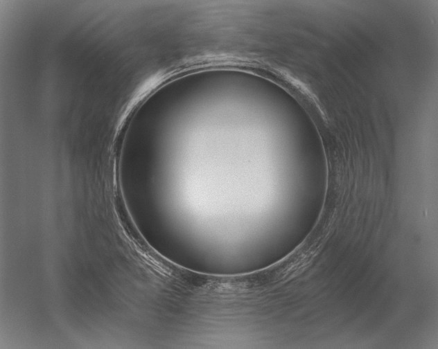 X0000056361365200509091611