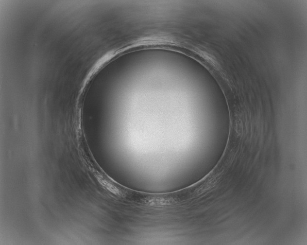 X0000056361366200509091611