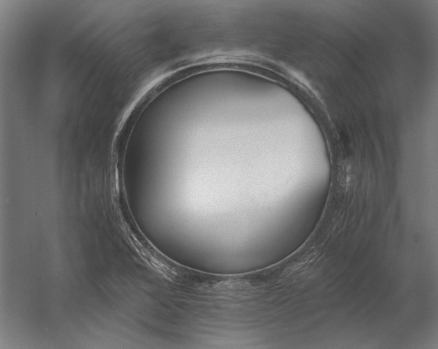 X0000056361368200509091611