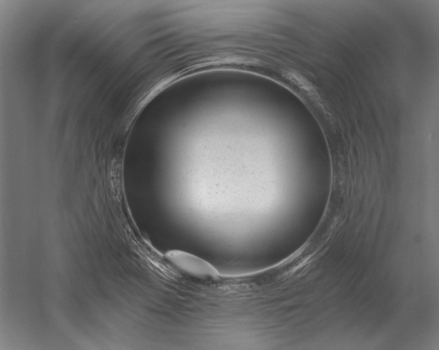 X0000056361369200509091611