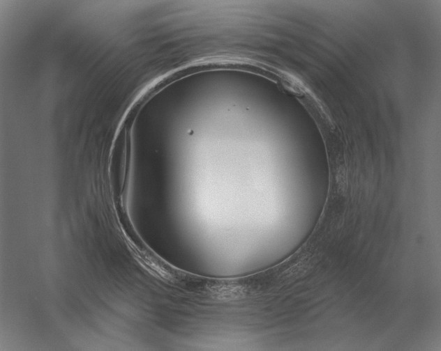 X0000056361372200509091611