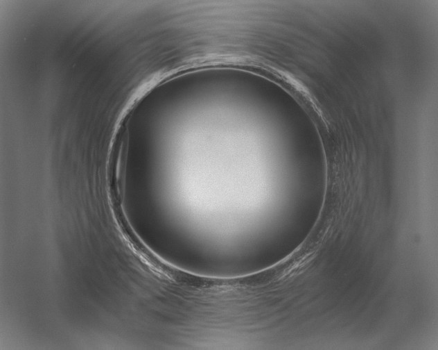 X0000056361373200509091611