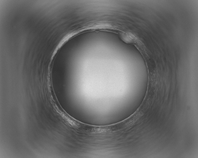 X0000056361374200509091611