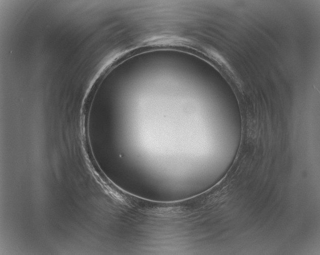 X0000056361376200509091611