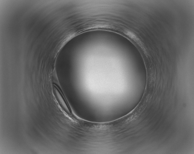 X0000056361377200509091611