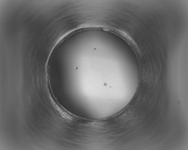 X0000056361380200509091611