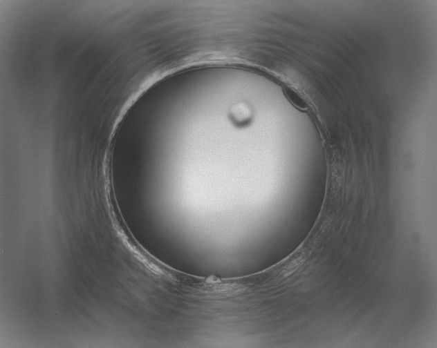 X0000056361382200509091611