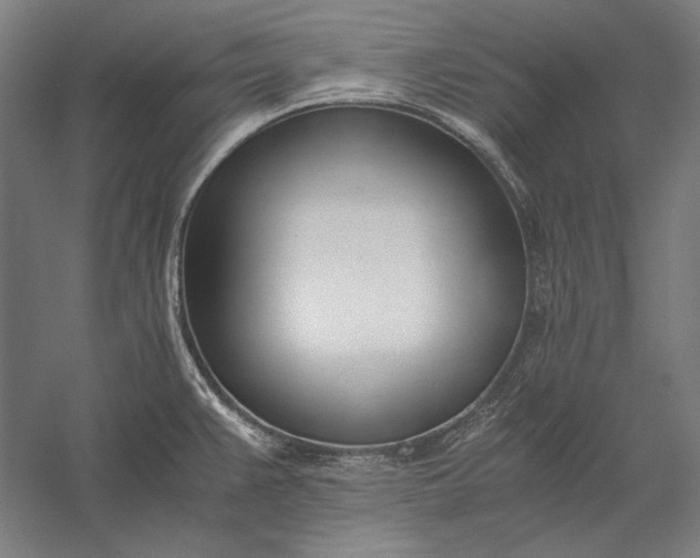 X0000056361383200509091611