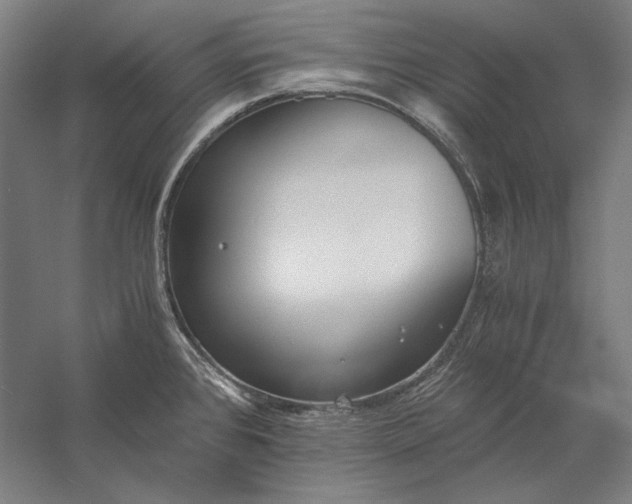 X0000056361384200509091611